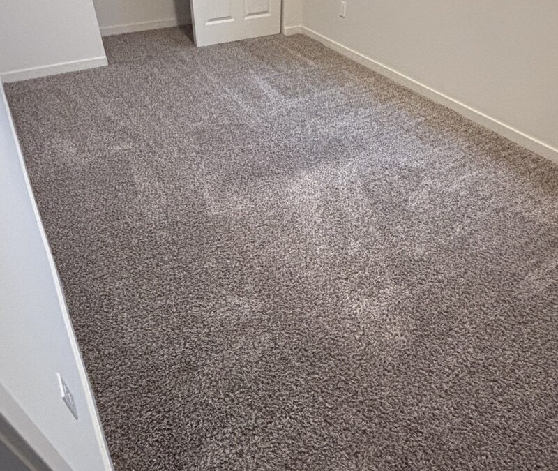 East Sacramento, CA Carpet Rejuvenation That Saved a Rental Property