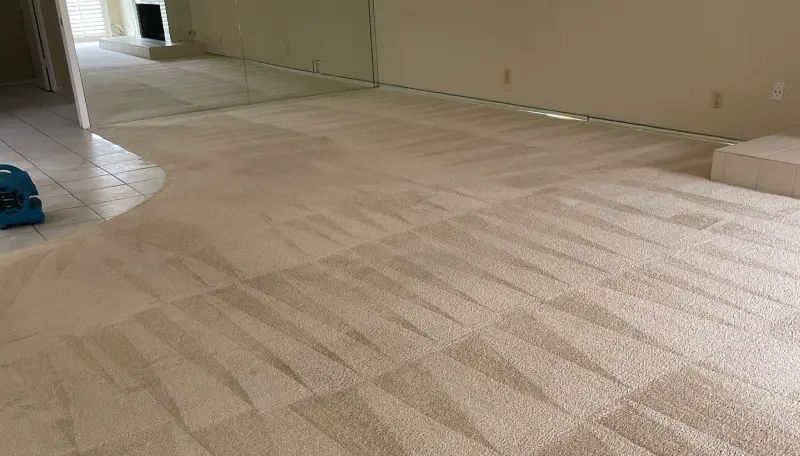 carpet care in Sacramento CA