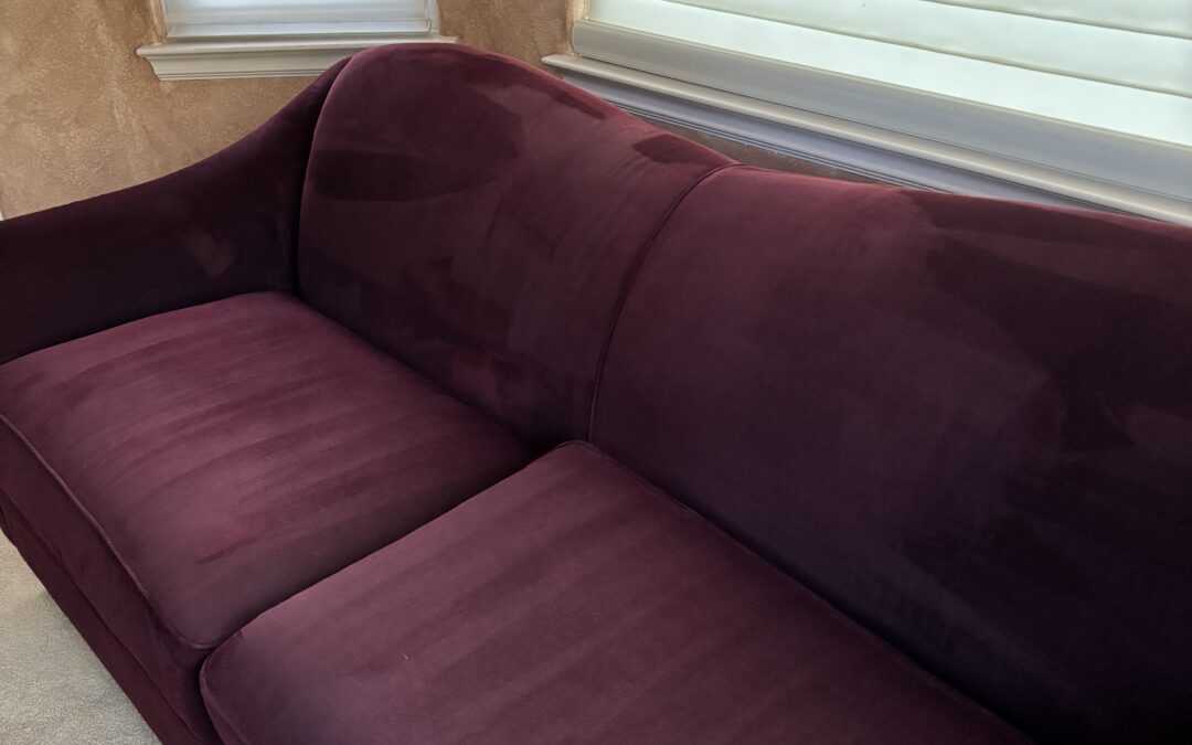 Top Upholstery Cleaning in Sacramento, CA — Say Goodbye to Pet Stains & Odors