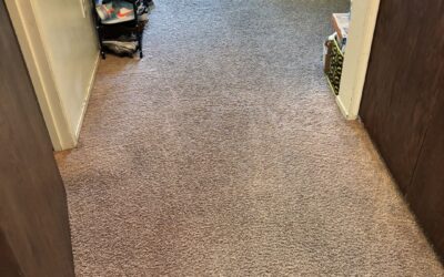 Carpet Cleaning Sacramento, CA That Shines