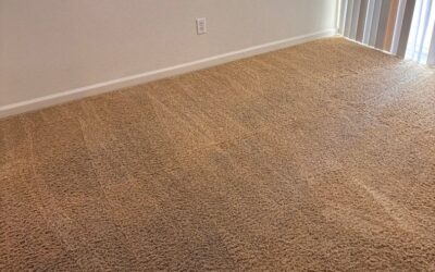 Professional Carpet Cleaning in Elk Grove CA