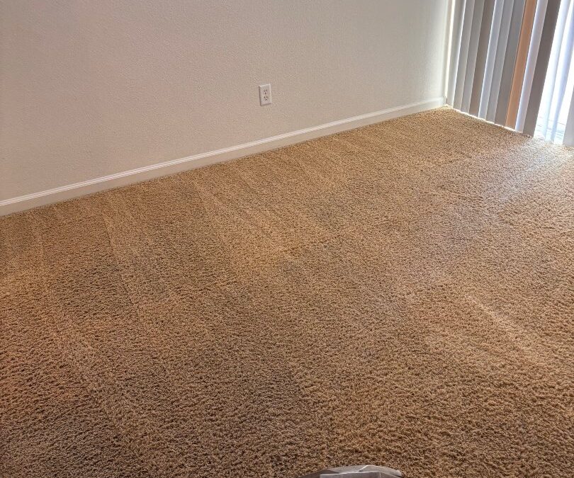 Professional Carpet Cleaning in Elk Grove CA